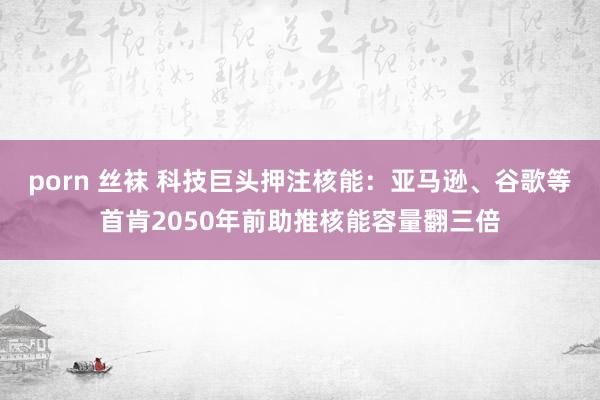porn 丝袜 科技巨头押注核能：亚马逊、谷歌等首肯2050年前助推核能容量翻三倍