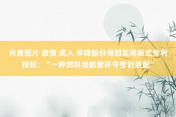 另类图片 激情 成人 华锦股份得回实用新式专利授权：“一种燃料油鹤管环守密封装配”