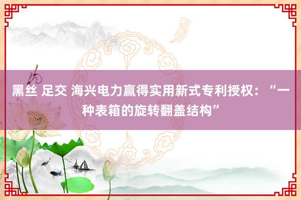 黑丝 足交 海兴电力赢得实用新式专利授权：“一种表箱的旋转翻盖结构”