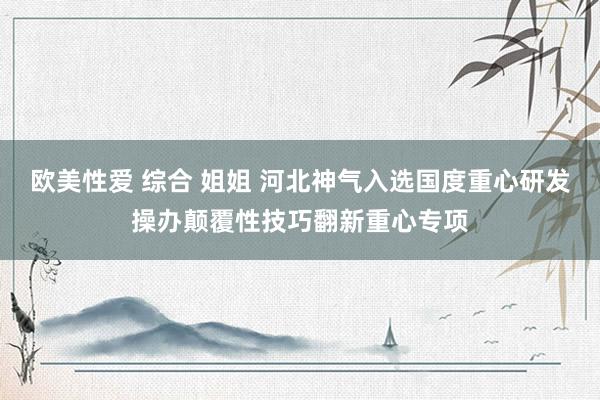欧美性爱 综合 姐姐 河北神气入选国度重心研发操办颠覆性技巧翻新重心专项