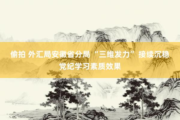 偷拍 外汇局安徽省分局 “三维发力” 接续沉稳党纪学习素质效果