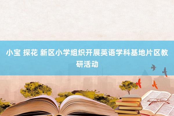 小宝 探花 新区小学组织开展英语学科基地片区教研活动