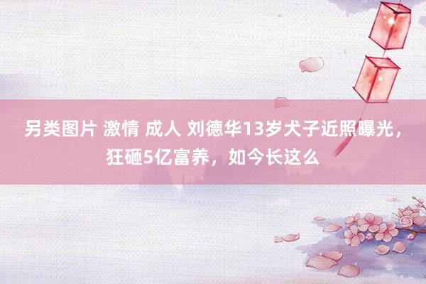 另类图片 激情 成人 刘德华13岁犬子近照曝光，狂砸5亿富养，如今长这么