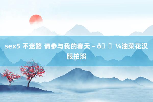 sex5 不迷路 请参与我的春天～🌼油菜花汉服拍照