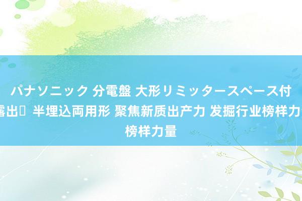 パナソニック 分電盤 大形リミッタースペース付 露出・半埋込両用形 聚焦新质出产力 发掘行业榜样力量