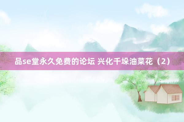 品se堂永久免费的论坛 兴化千垛油菜花（2）