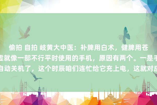 偷拍 自拍 岐黄大中医:补脾用白术,健脾用苍术,千万不要用错了脾虚就像一部不行平时使用的手机,原因有两个。一是手机电量不及,自动关机了,这个时辰咱们连忙给它充上电,这就对应咱们的补脾,就得罗致白术这味药,它...